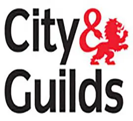 City & guilds qualified plumber